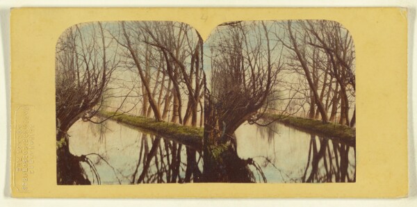 London Stereoscopic and Photographic Company, A View on the River Lea, In Essex.