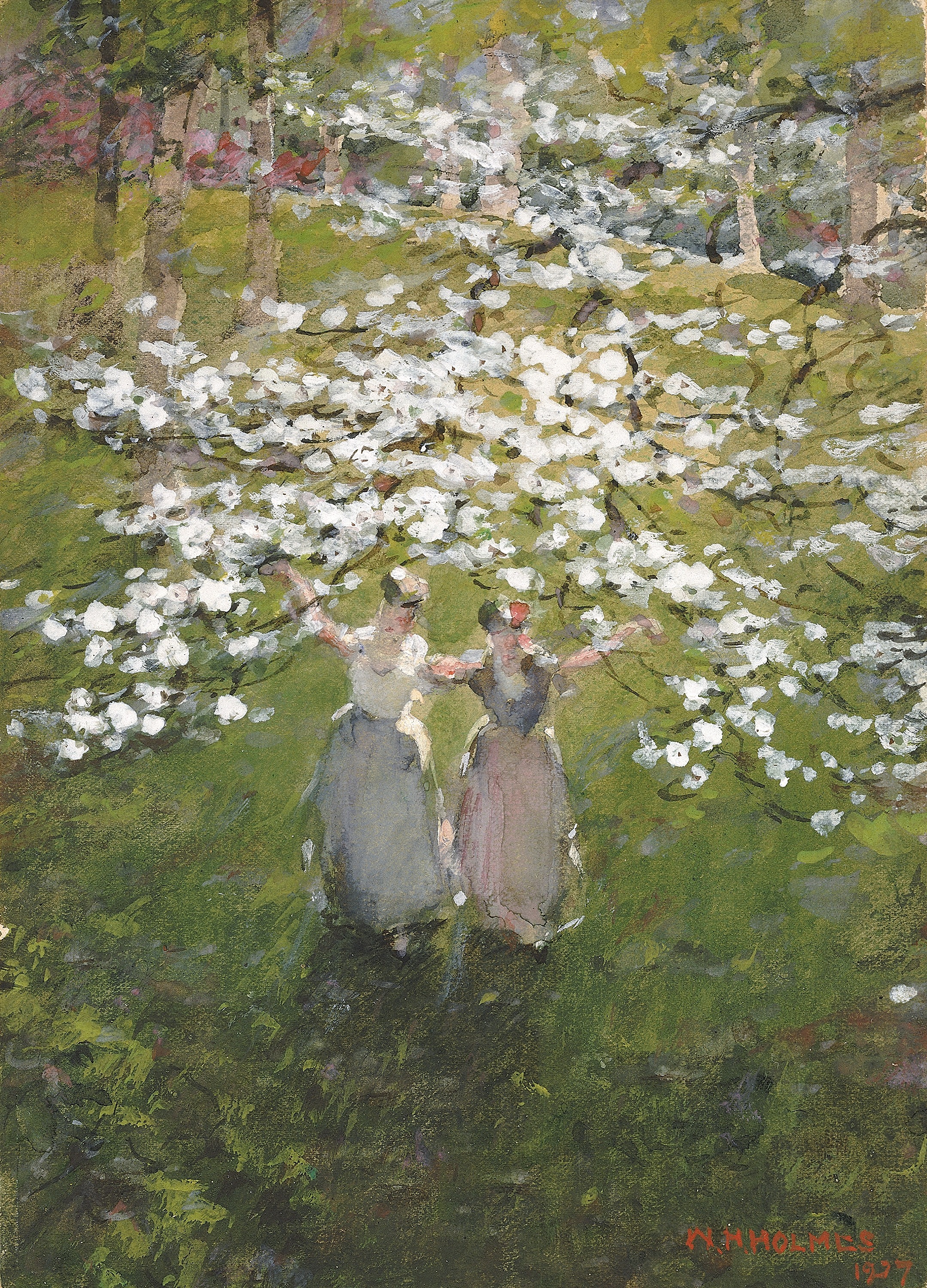 William Henry Holmes, Blossoms