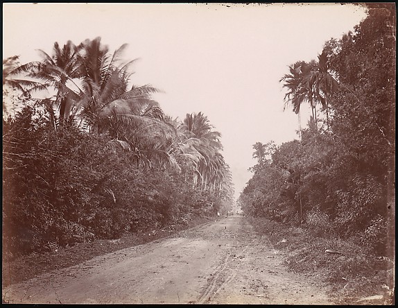 Unknown, Road Near Singapore
