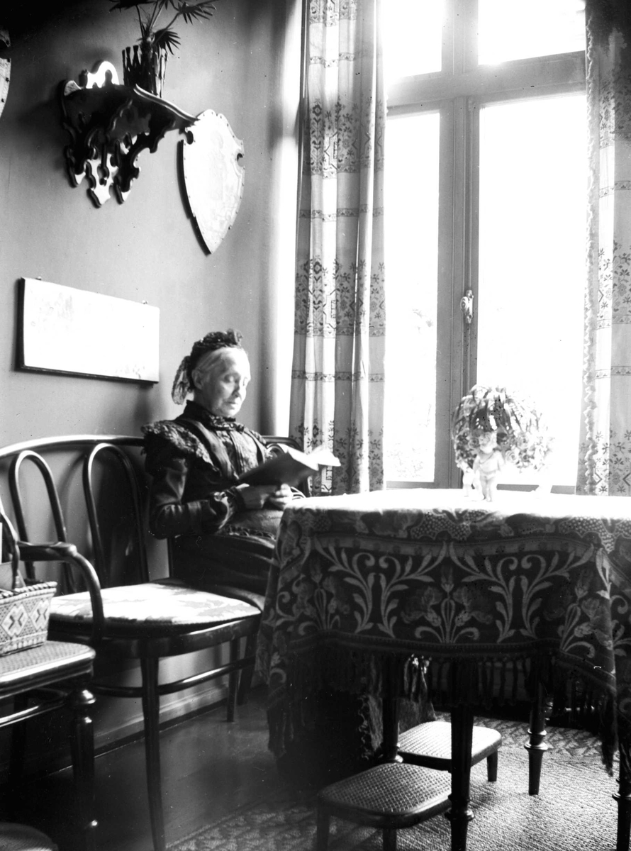 Juliane Fredrikke Langberg, Interiør med kvinne som leser sittende ved vindu i rikt møblert rom. Muligens på kappelangården Bergenhus i Rakkestad hvor fotografens søster Louise var gift med res.kap. Olaf A.Holm (i tjeneste der 1884-97). Fra malerinne Juliane Fredrikke Langbergs (1856-1930) samling, tatt ca.1895-1910 med motiv…