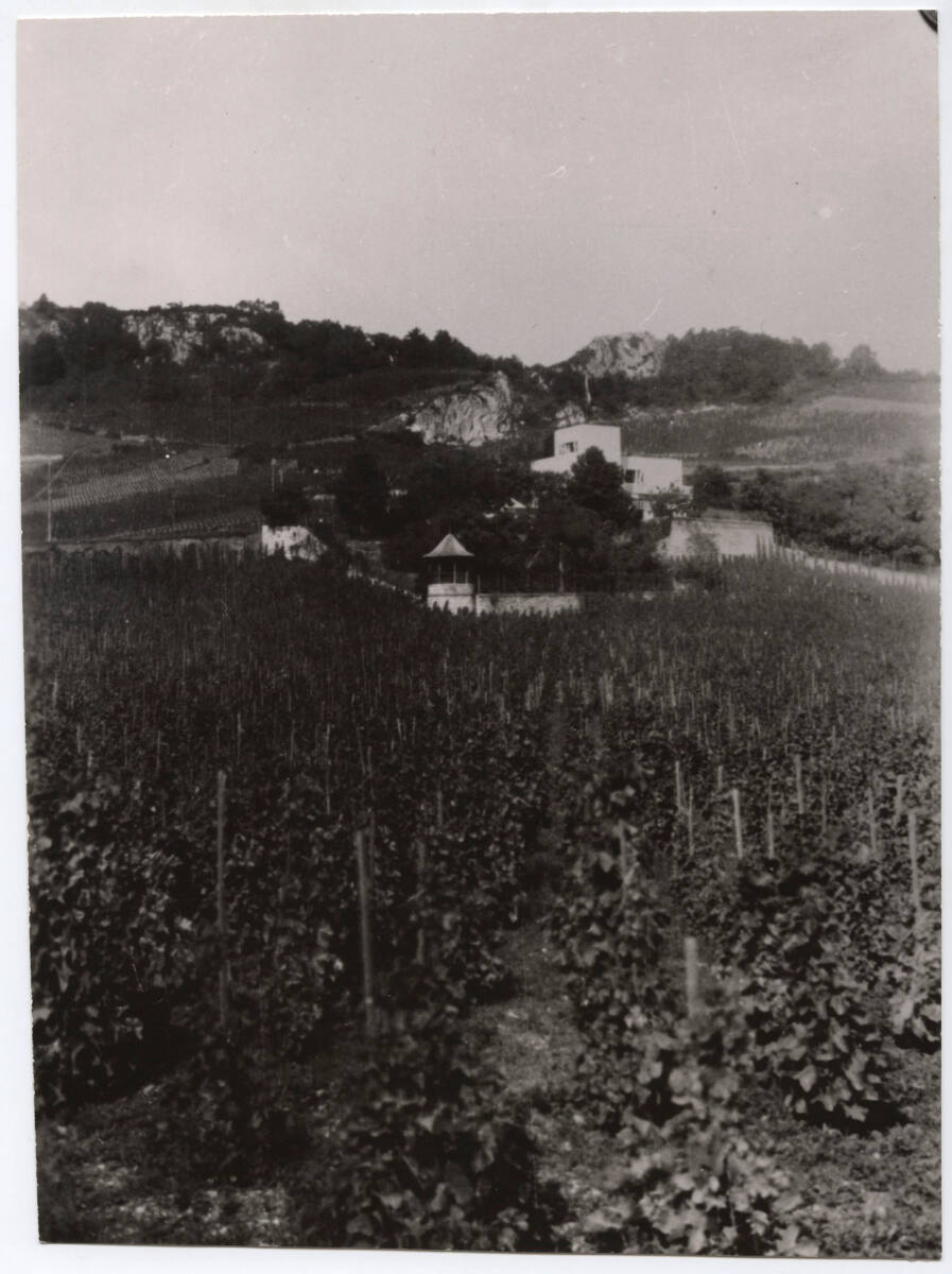 Anonym, Landhaus Carla Spanner, Gumpoldskirchen 270, Rotes Mäuerl, Niederösterreich, Blick über die Weinberge