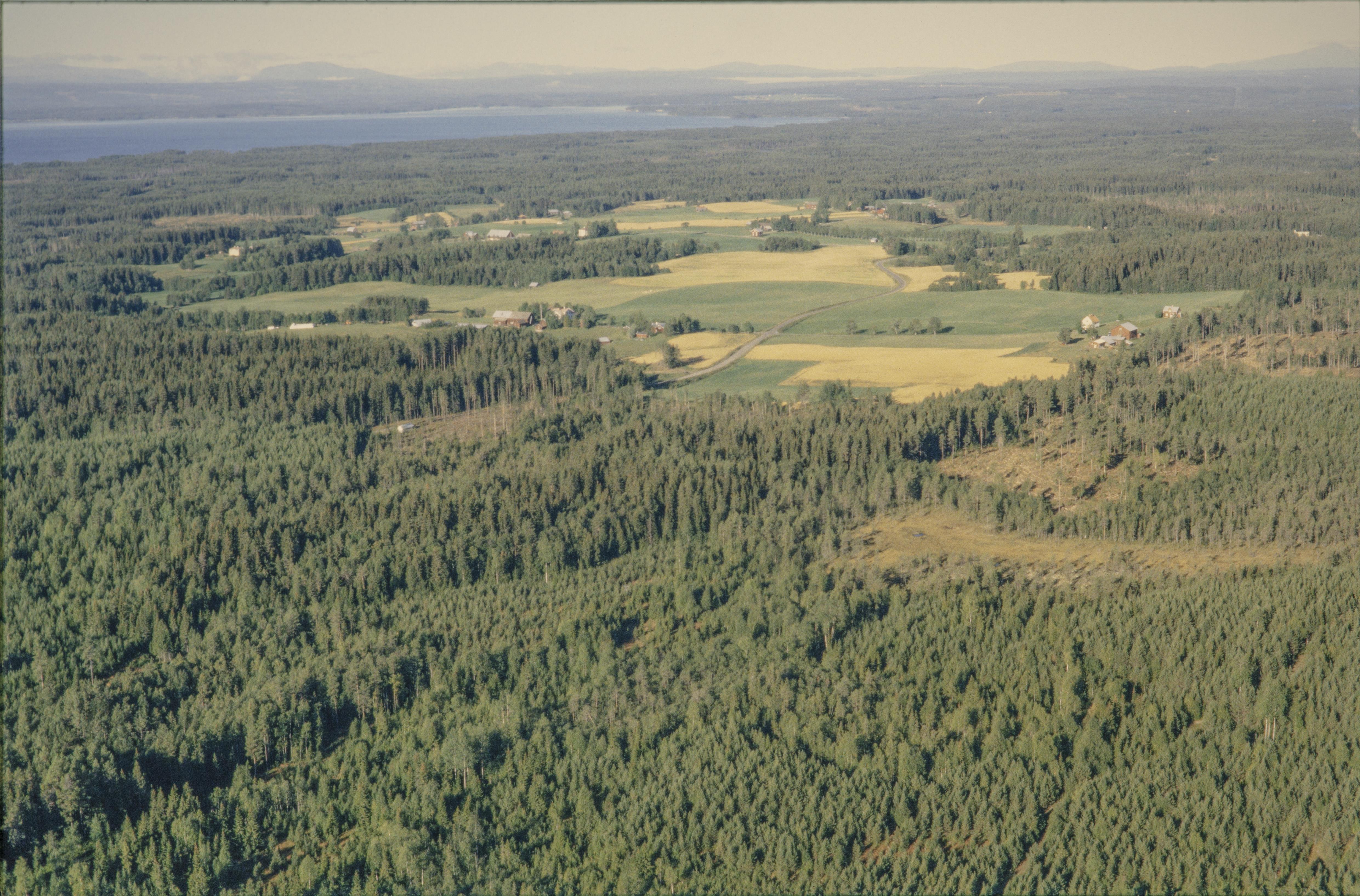 Jan Norrman, Näskott 221:1