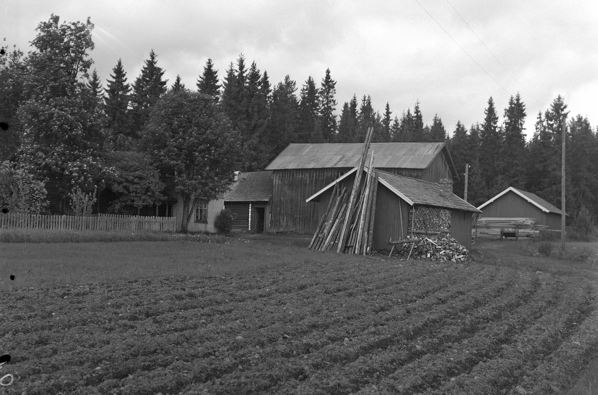 Anno Domkirkeodden, EKSTR: GARDSTUN, RASMUSLØKKEN ØSTRE OG VESTRE, (VESTRE LØVLIA) Se Løtenboka, Bygdebok fra 1953 bind 2. side 167