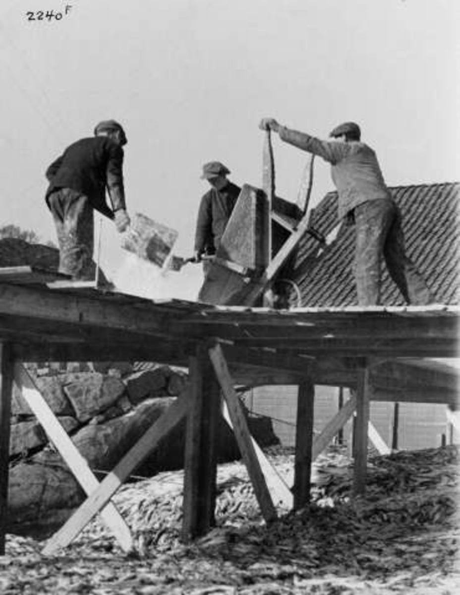 Anders Beer Wilse, -7361