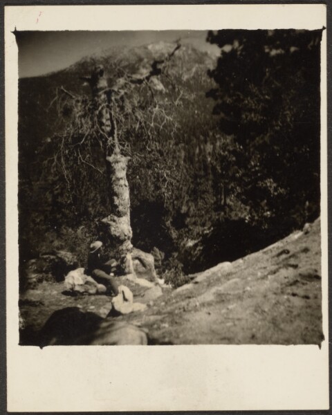 Louis Fleckenstein, [Figure on Trail]