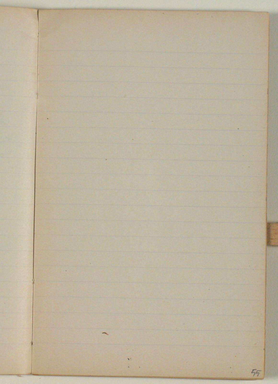 Niels Larsen Stevns, Blank