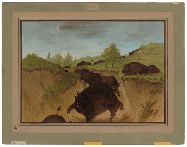George Catlin, Grizzly Bears Attacking Buffalo