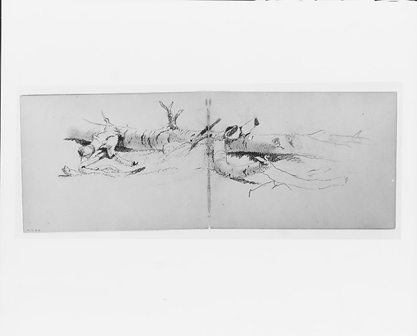 David Johnson, Study of a Fallen Tree (from sketchbook)