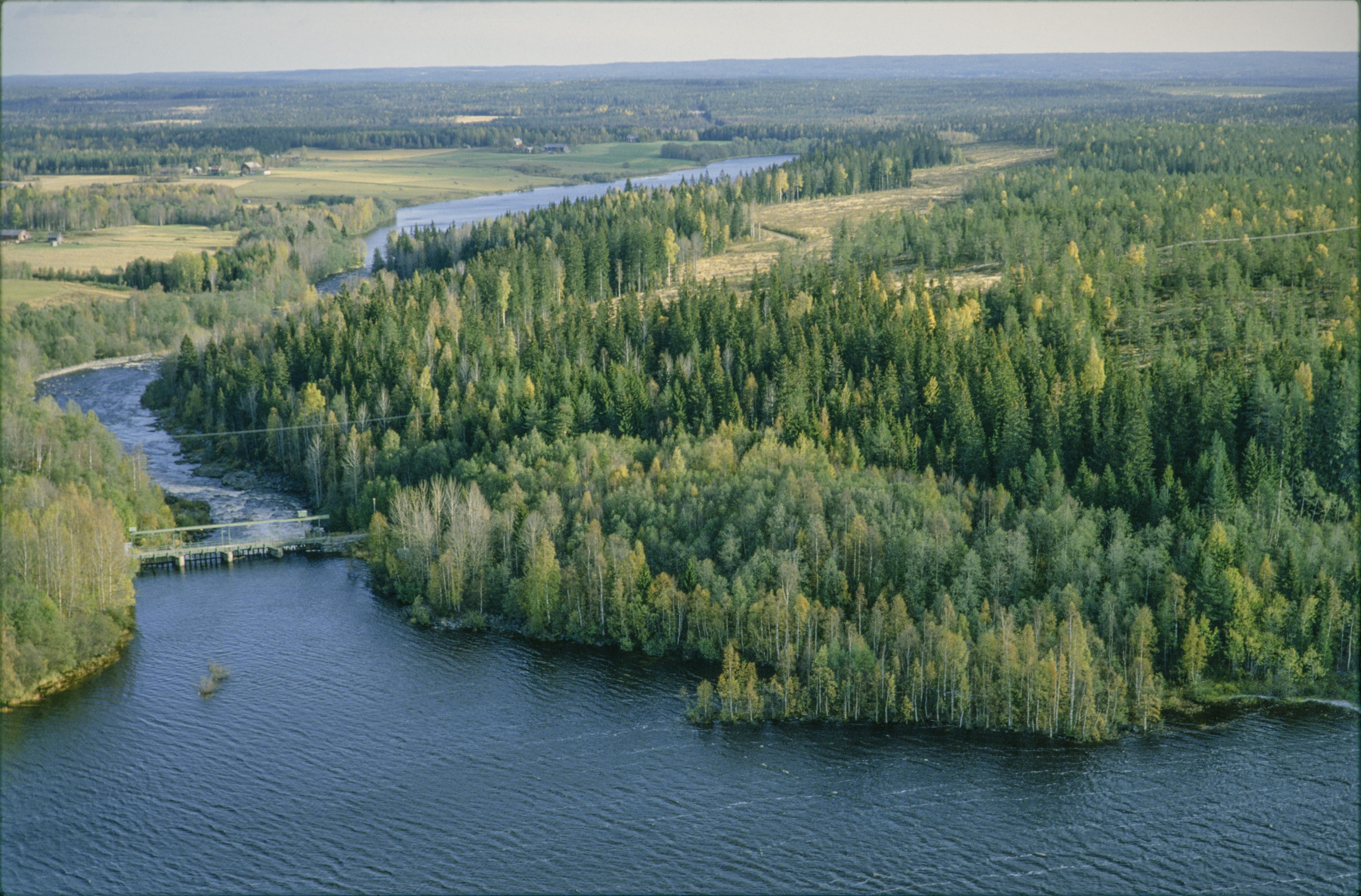 Jan Norrman, Gideå 118:1