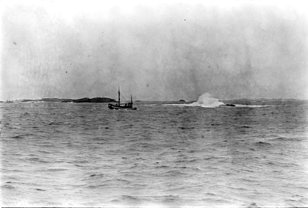 Anders Beer Wilse, Prot: Rövær fiske