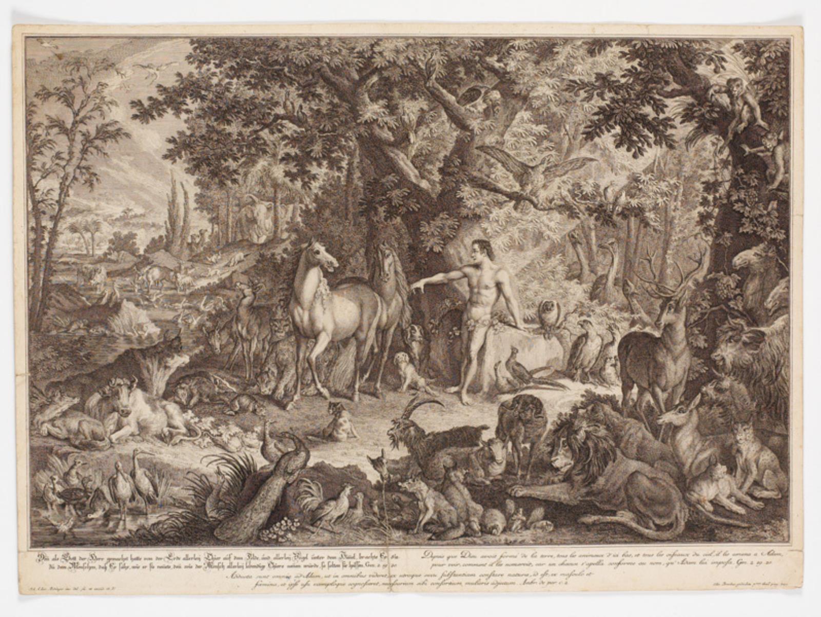Johann Elias Ridinger, Adam giver dyrene navne
