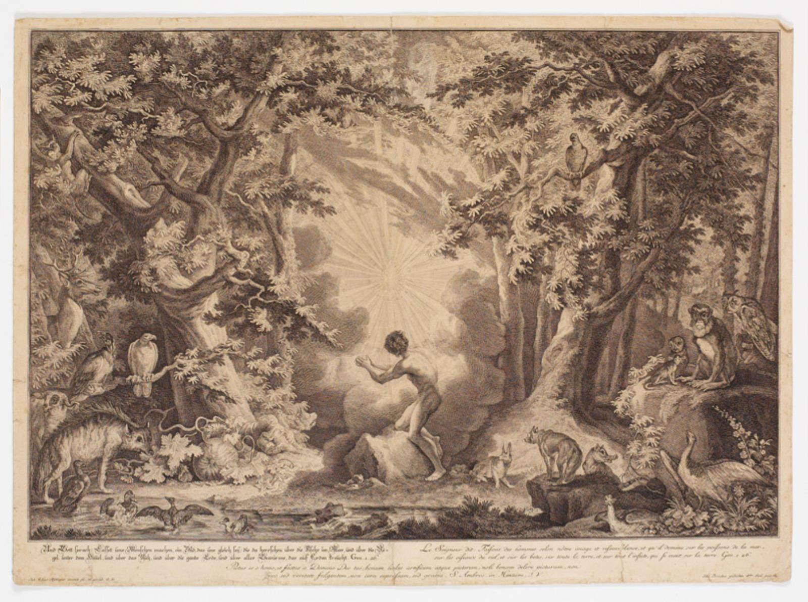 Johann Elias Ridinger, Adams skabelse