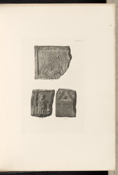 Thomas Annan, Plate XIV