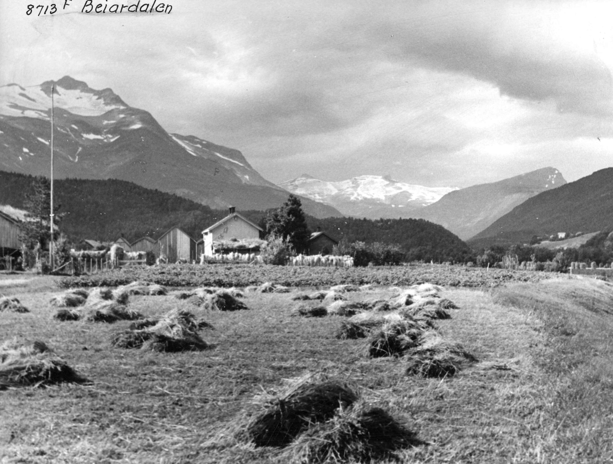 Anders Beer Wilse, Topografi