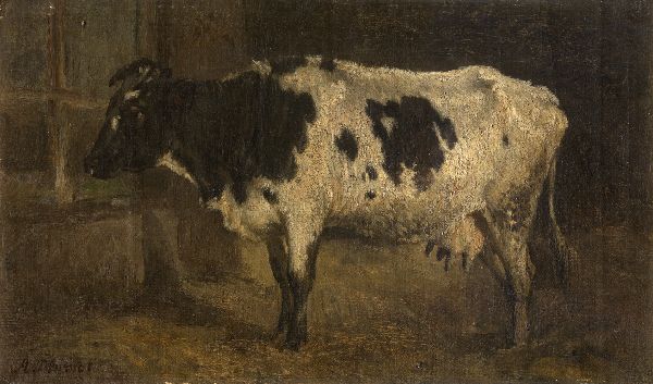 André Plumot, Cow