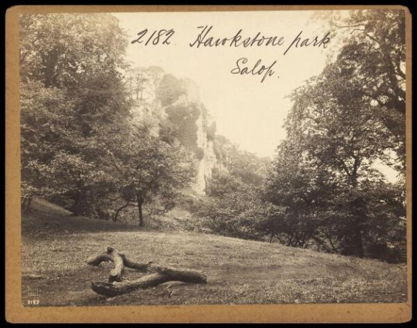 Francis Frith, Hawkstone Park.  Salop.