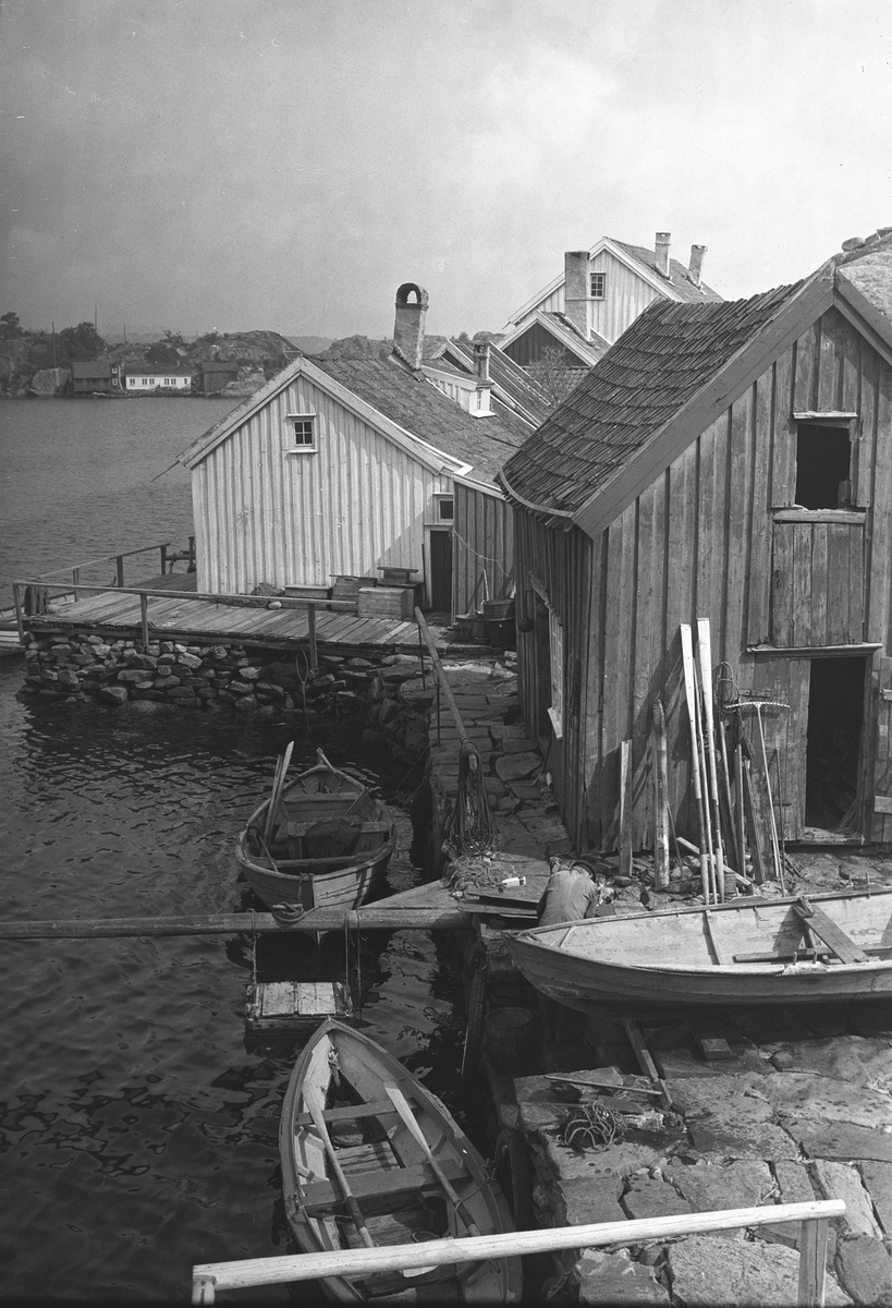 Anders Beer Wilse, Prot: Ny Hellesund