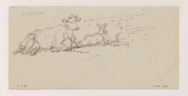 George Chinnery, A cow with a tethered calf