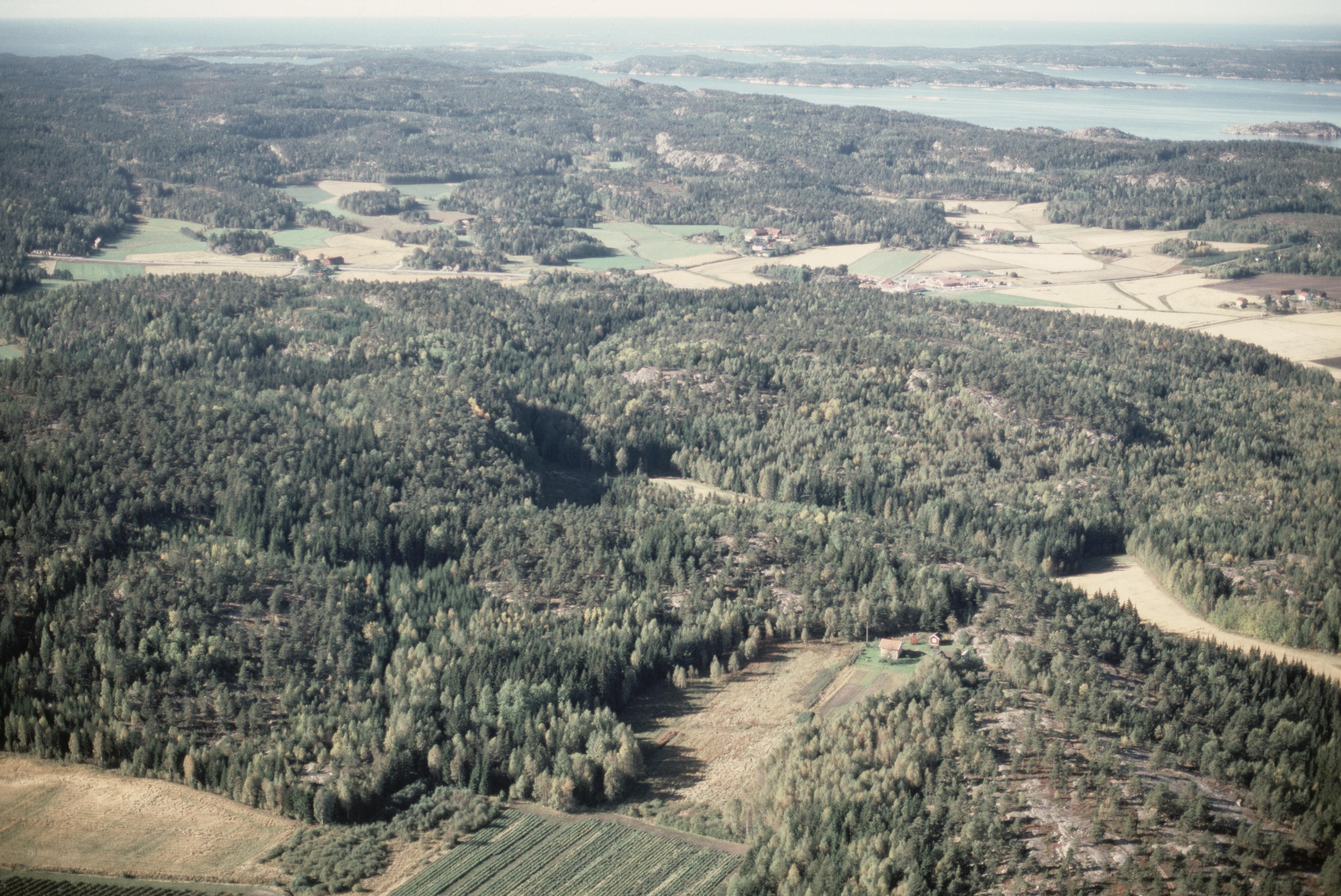 Jan Norrman, Hogdal 219:1