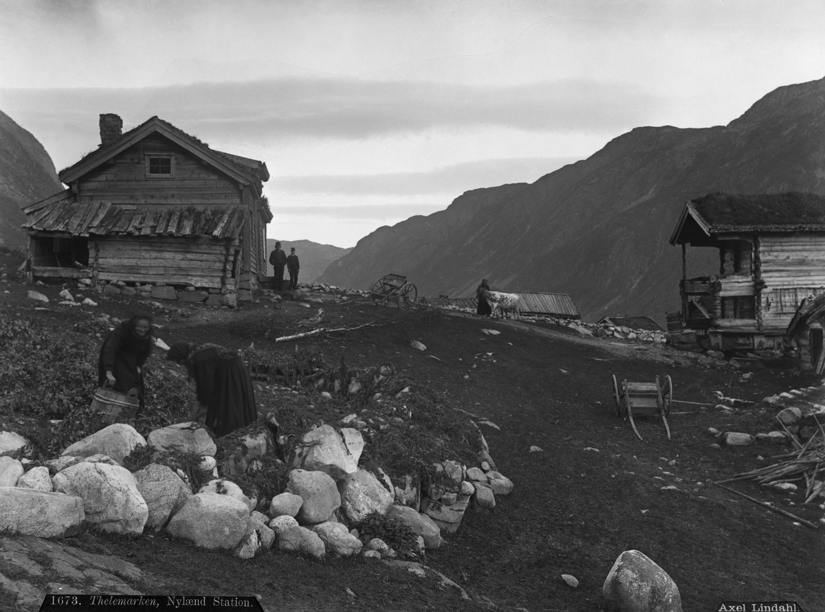 Axel Lindahl, "Prot: Nyland station