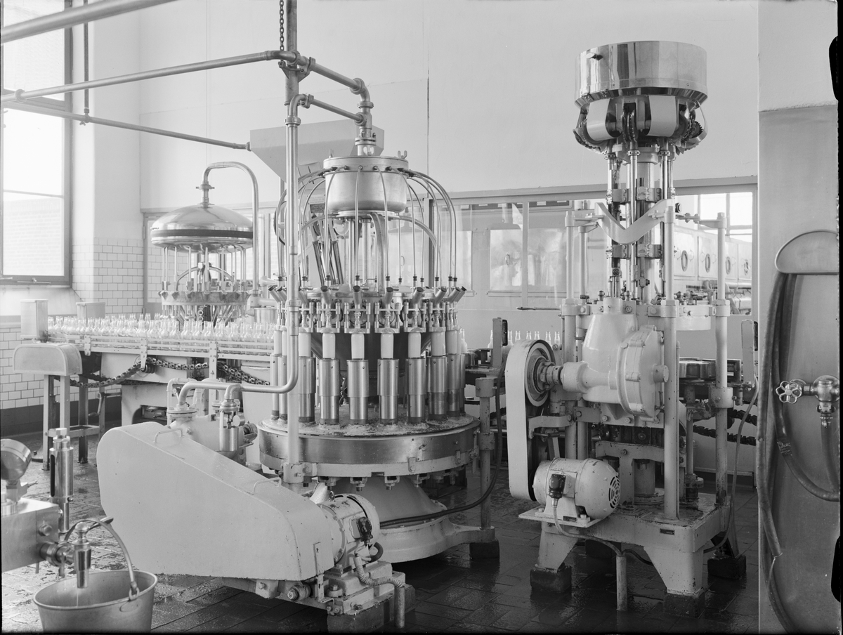 Paul Sandberg, The Milk Centre, Järlåsa, Uppland