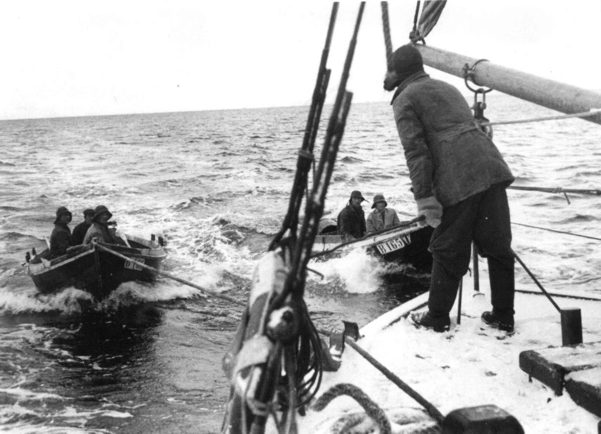 Anders Beer Wilse, Lofotfiske