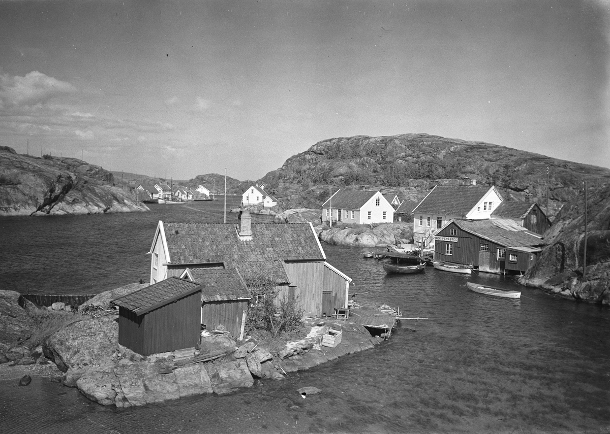 Anders Beer Wilse, Prot: Ny Hellesund