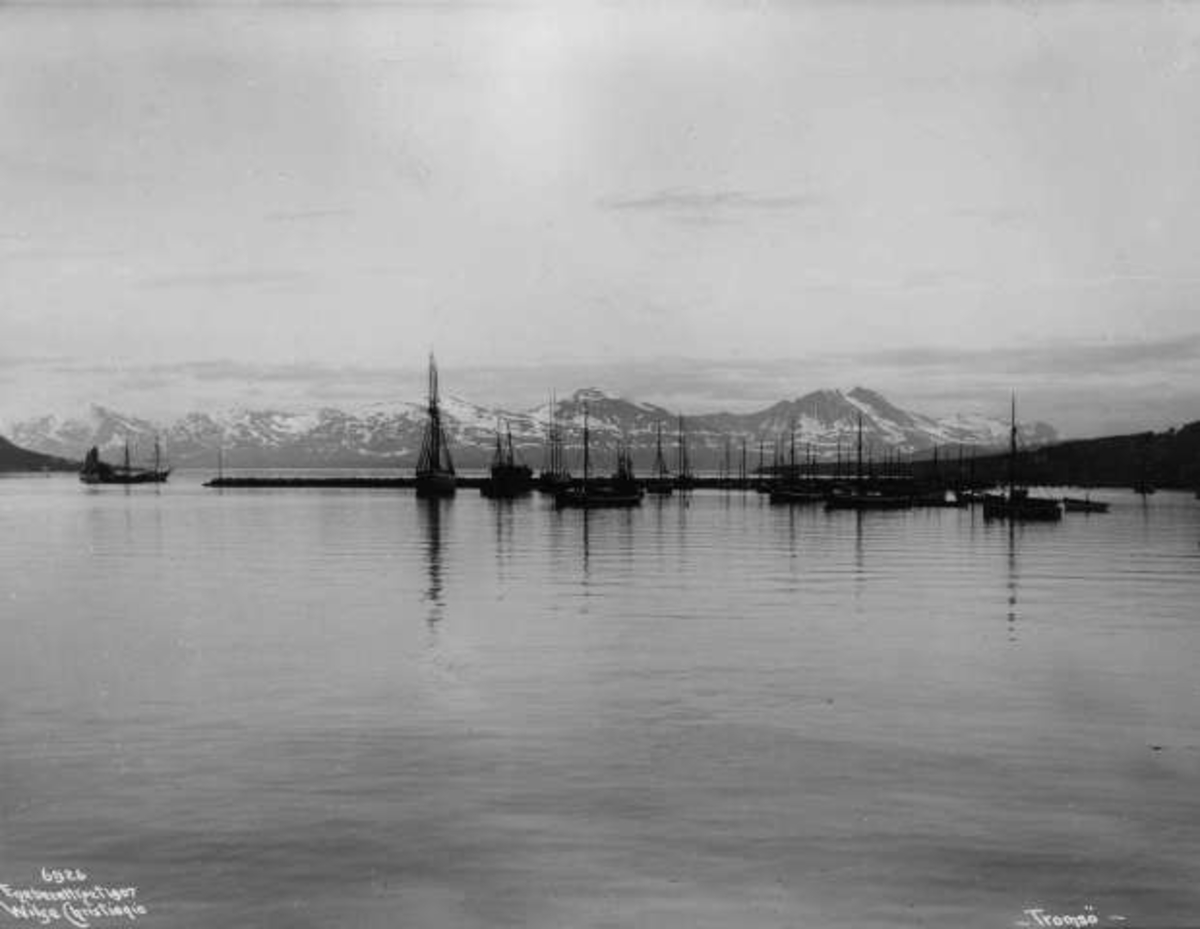 Anders Beer Wilse, Tromsøsundet med fjellene i Balsfjord og Malangen, antakelig.