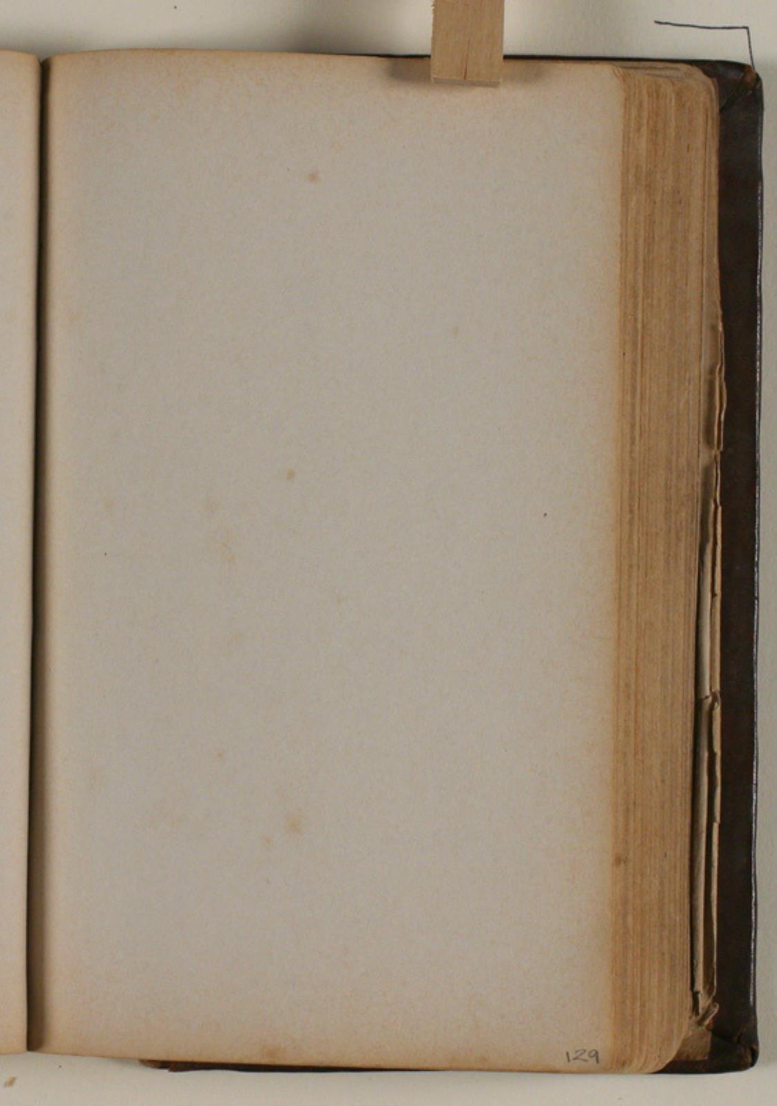 Niels Larsen Stevns, Blank