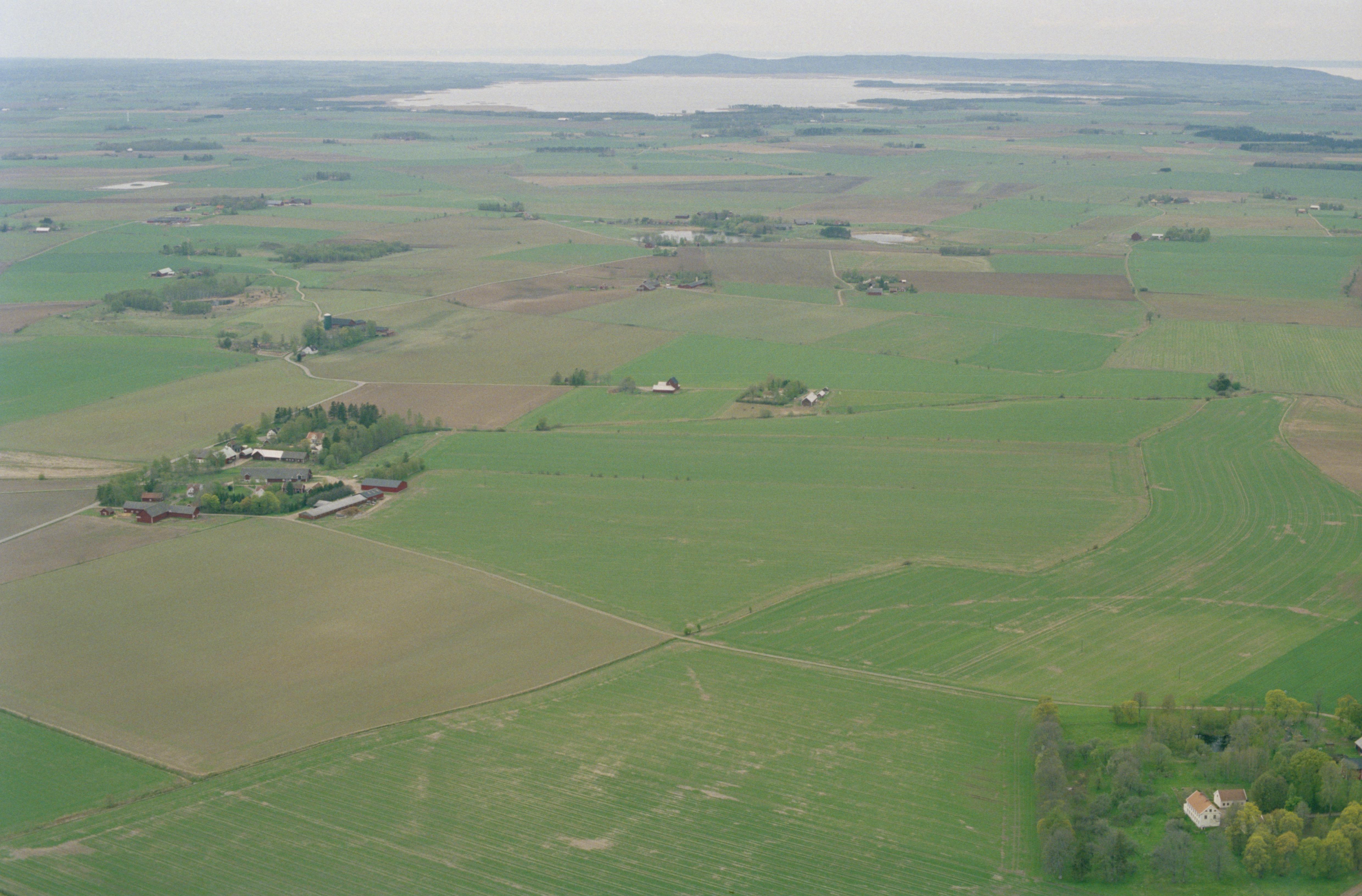 Jan Norrman, Bjälbo 8:1