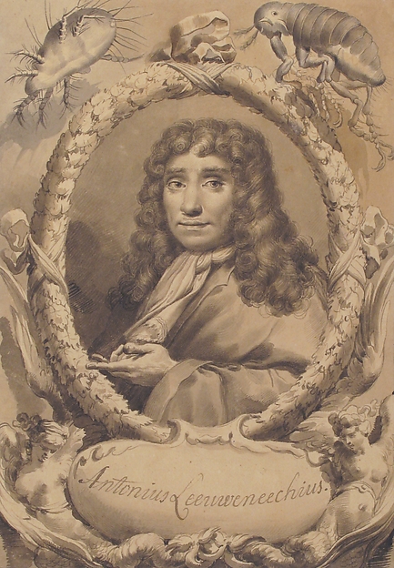 Gaetano Gandolfi, The Dutch Microscopist Anton van Leeuwenhoek