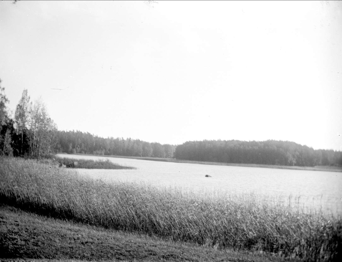 August Fredrik Schagerström, Lake Harparbol, Almunge parish, Uppland September 1920