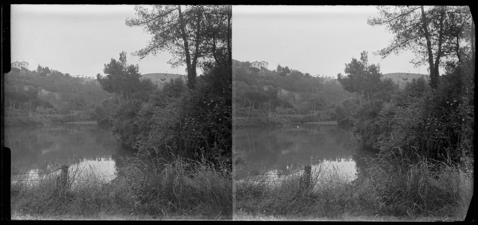 Desconegut, [Vallvidrera Marsh]