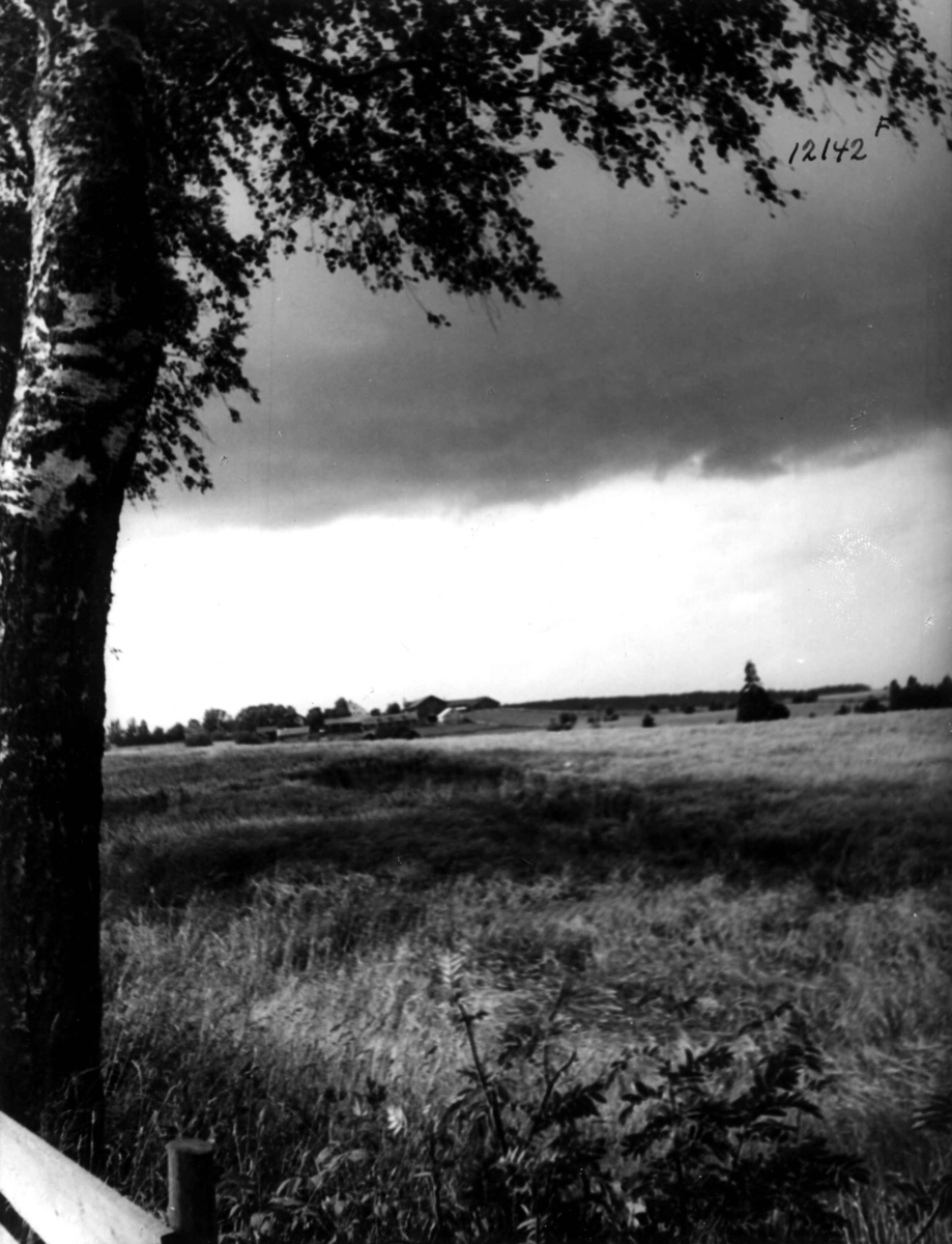 Anders Beer Wilse, Østby gård