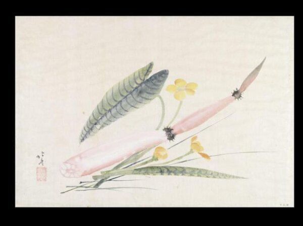 Katsushika Hokusai, Lotus Root and Spatterdocks