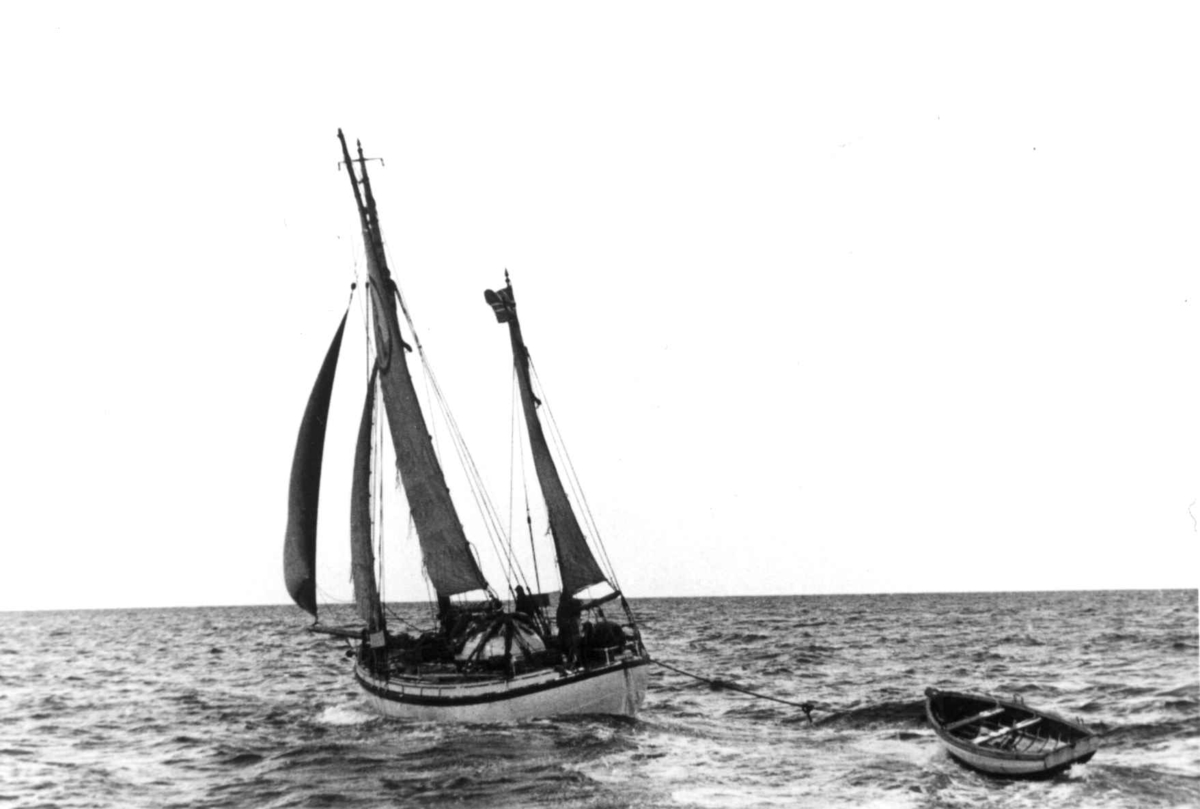 Anders Beer Wilse, Lofotfiske