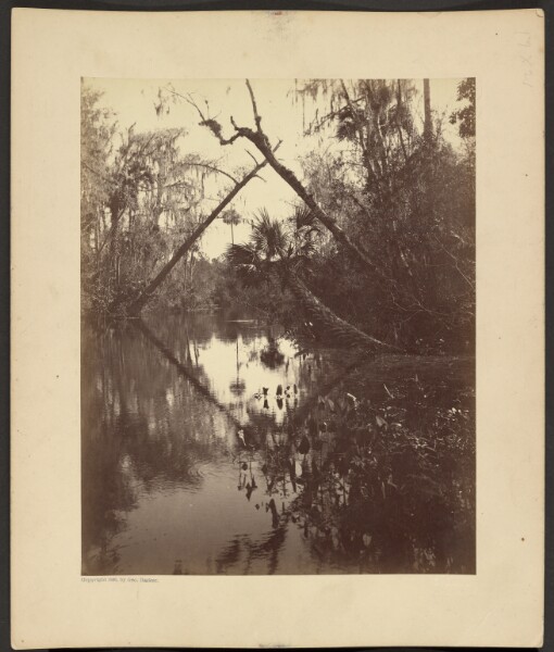 George Barker, [Florida Landscape]