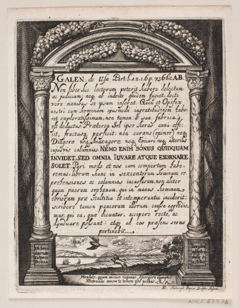 Albert Haelwegh, Illustration til Simon Paulli, "Quadripartitum Botanicum", 1667