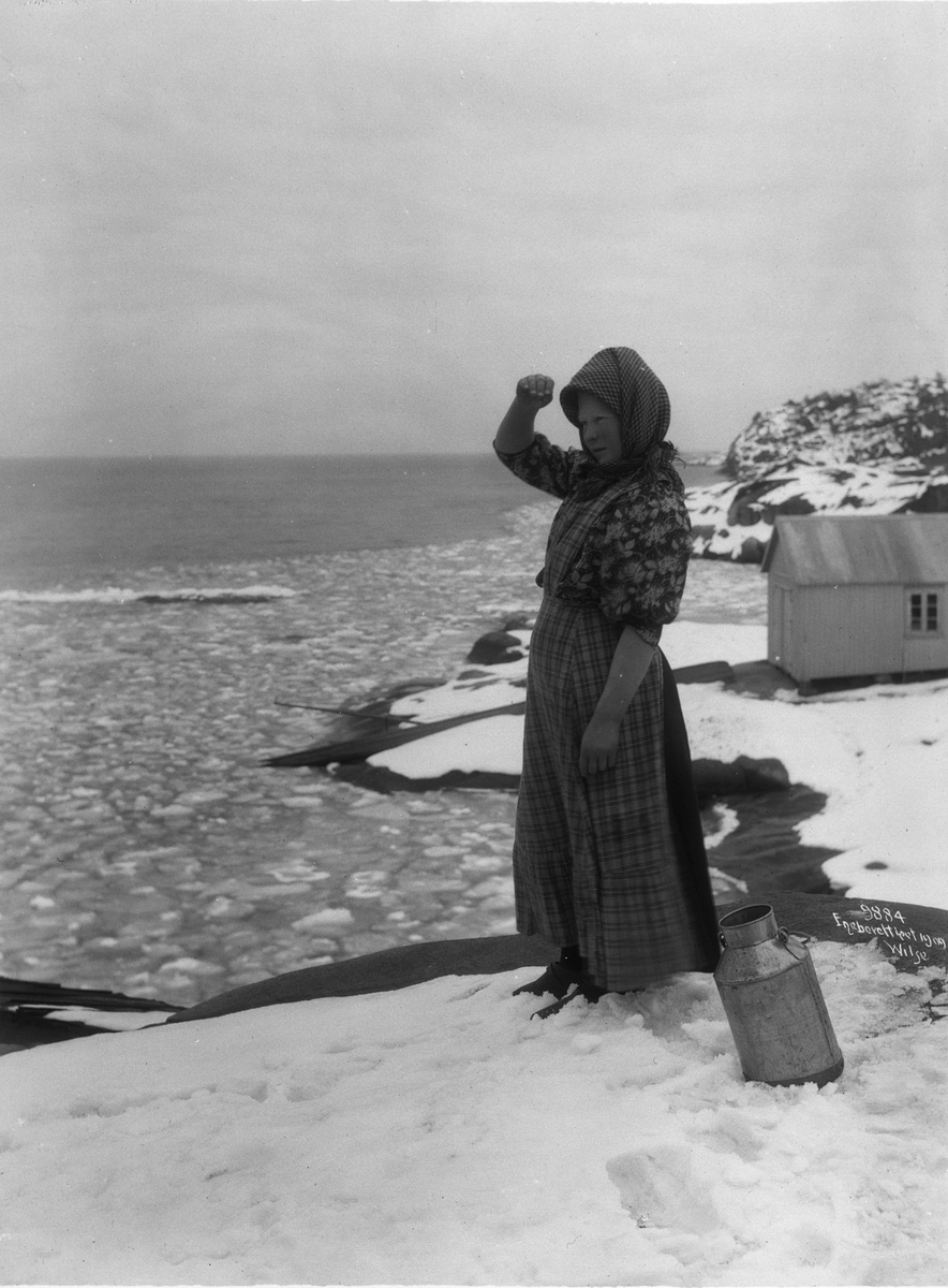 Anders Beer Wilse, Prot: Fiskerjente 1909
