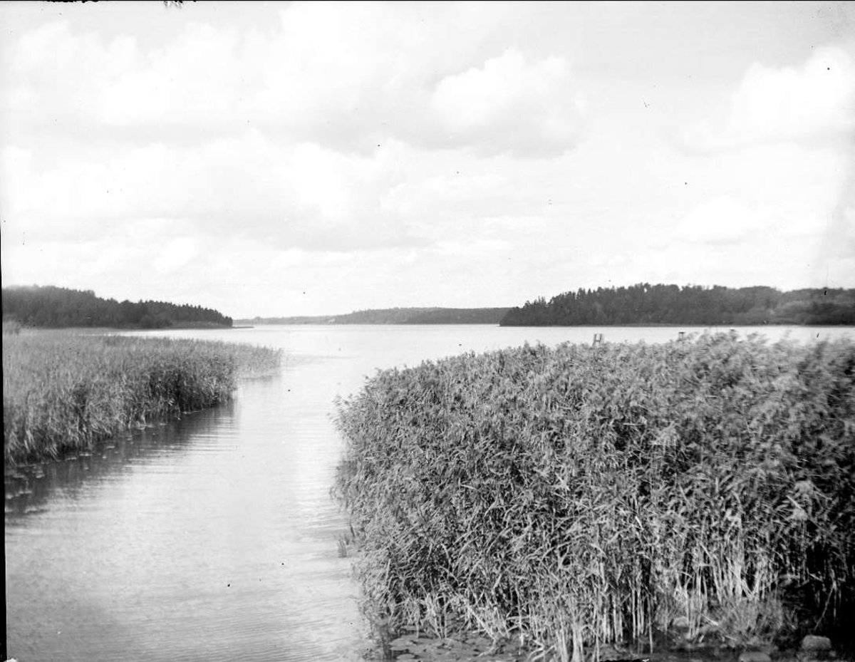 August Fredrik Schagerström, Garnsviken i Mälaren, norr om Sigtuna, Uppland, augusti 1930