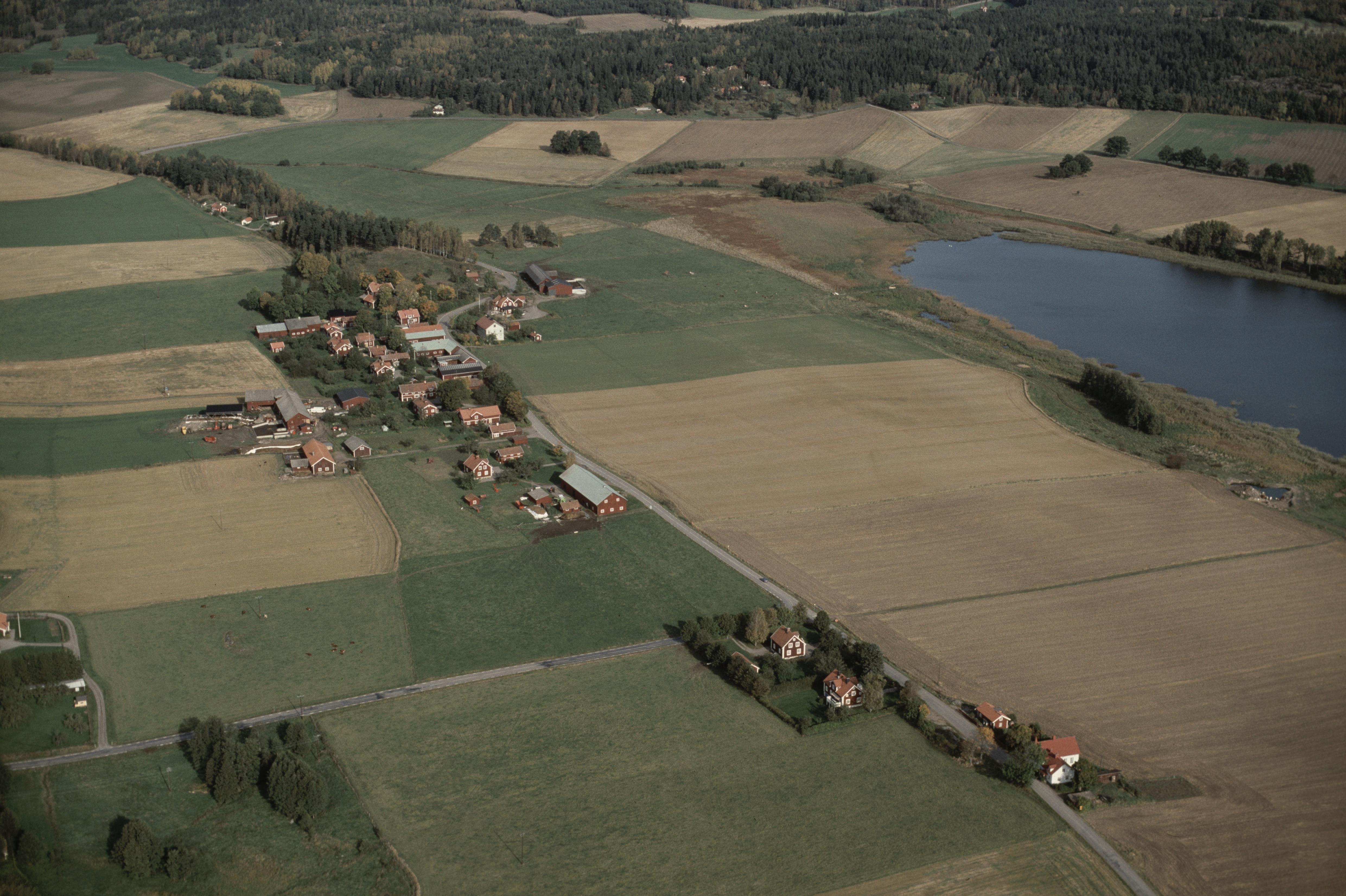 Jan Norrman, Gåsinge-Dillnäs 384:1