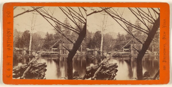 Edward and Henry T. Anthony & Co., The Glens of the Catskills. The Mill Pond near Laurel House.