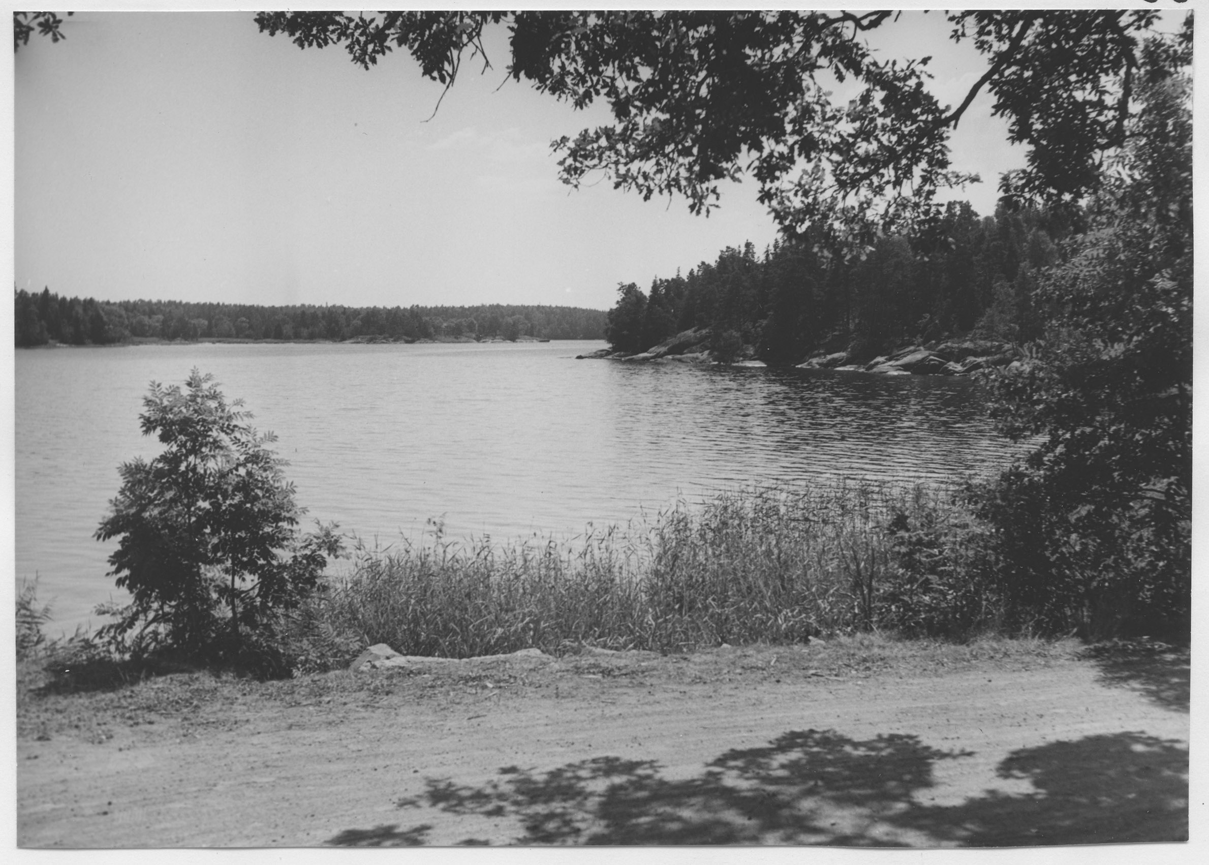 Mårten Sjöbeck, Björhövda brygga