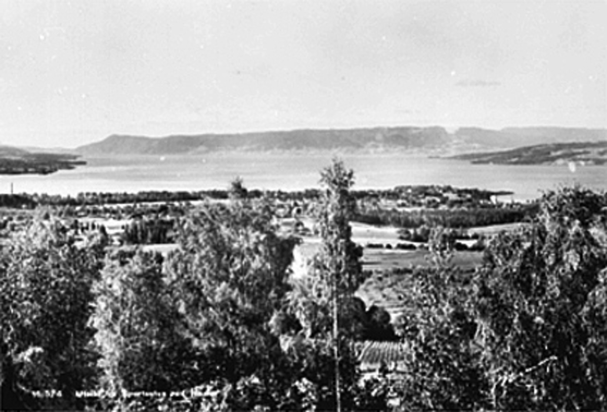 Anno Domkirkeodden, UTSIKT FRA SKISTUA MOT MJØSA, HEDMARKSTOPPEN