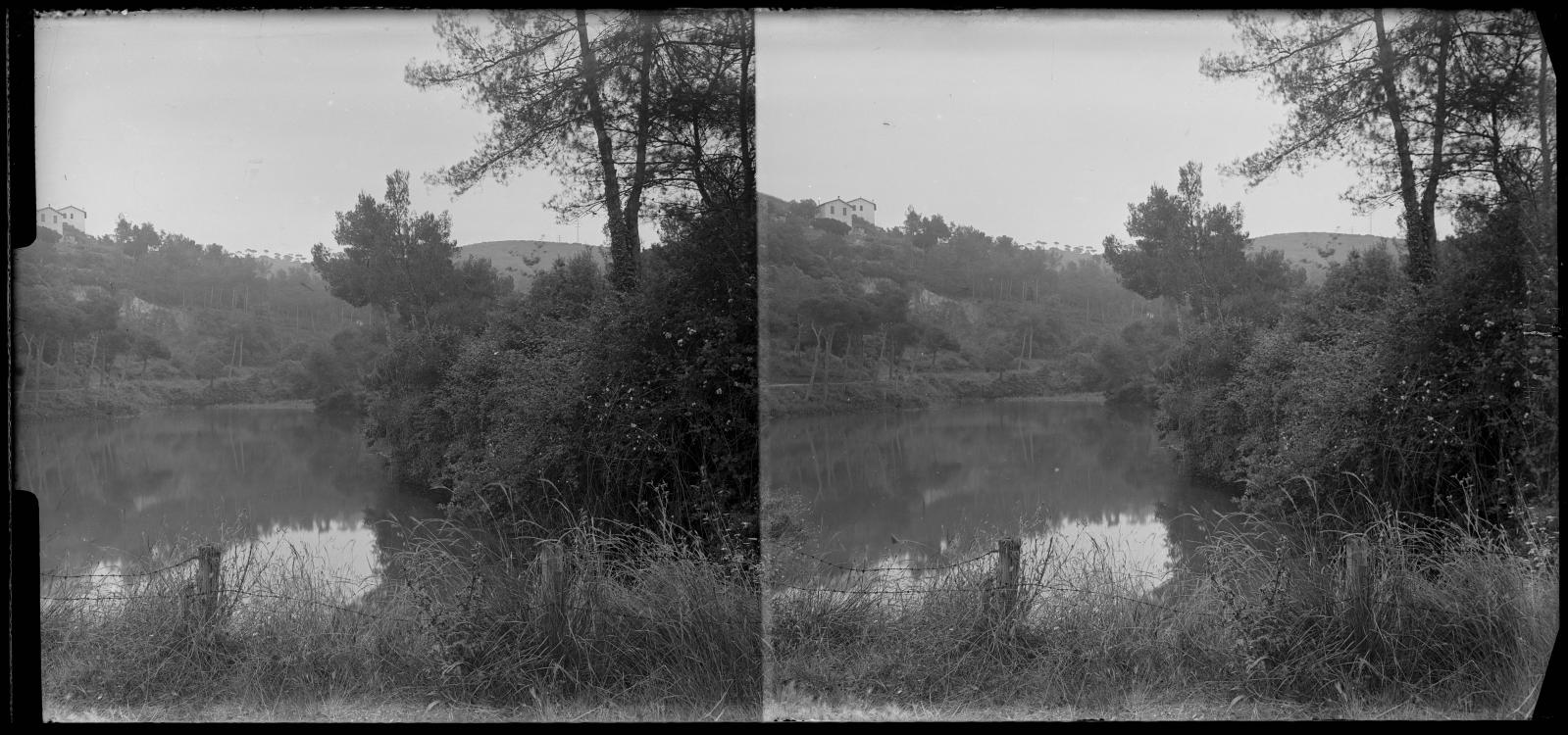 Desconegut, [Vallvidrera Marsh]