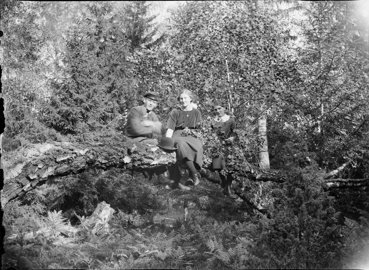 Skötsner-Edhlund, Man, Sara and Tyra sit on a tree trunk in the forest, Östhammar, Uppland