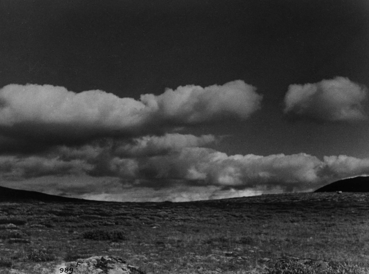 Anders Beer Wilse, Fjellvidde
