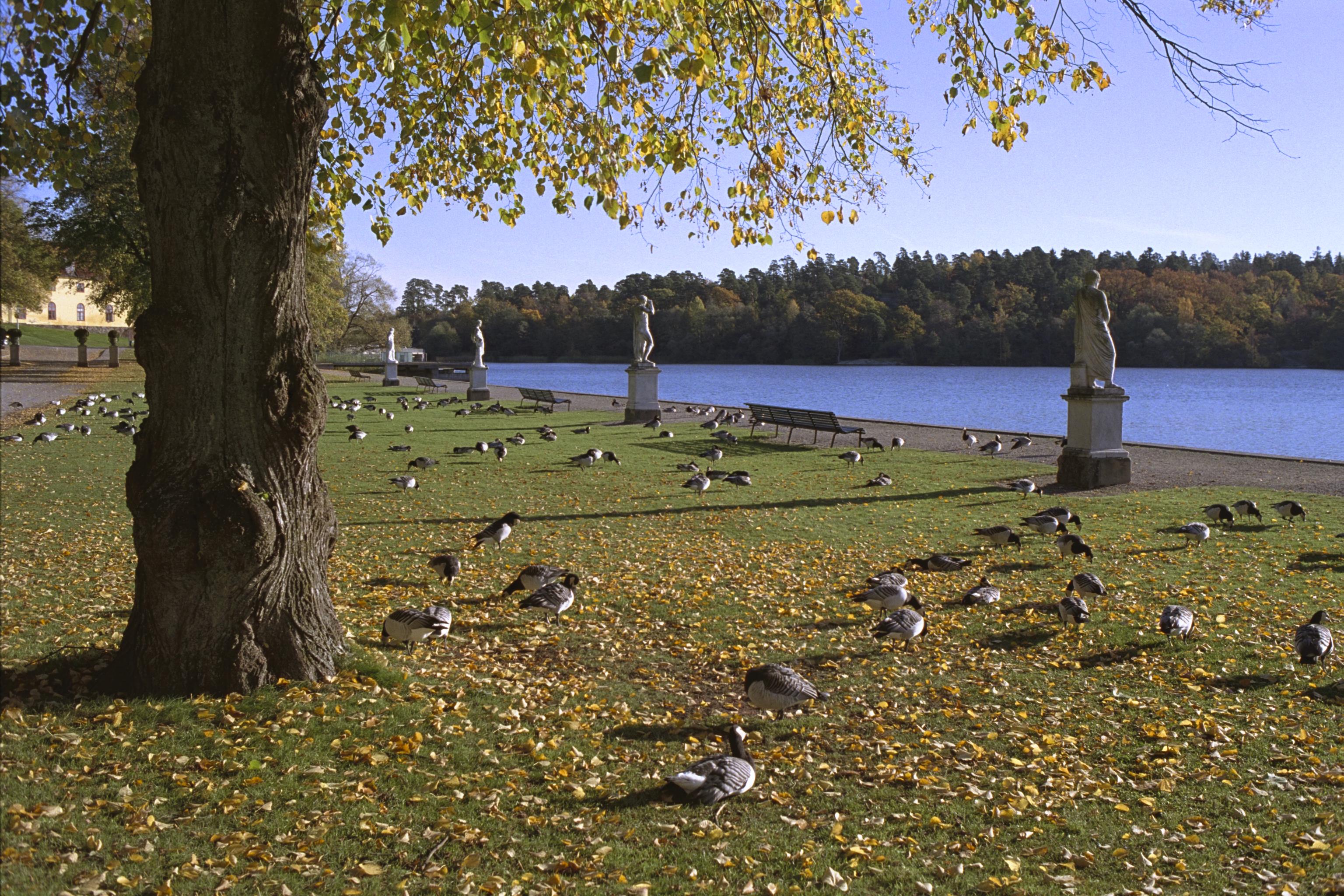 Bengt A Lundberg, Drottningholm
