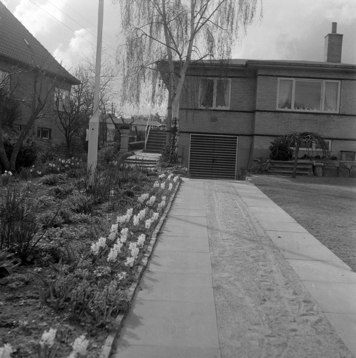 Adolf Skjegstad, ASK-04585