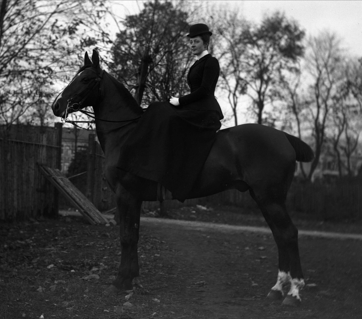 Gustav Borgen, Portrett, rytterske på hest med kupert hale.
